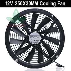 Cooling Fan Large Size 250mm 25cm DC 12V 1200 RPM 40DBA Molex 4D 250X30 mm High Air Flow PU Compute Pet Plant Exhaust Diffuser