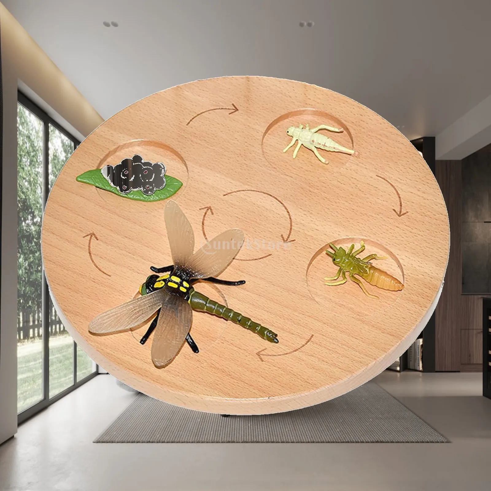

Life Cycle Tray Animal Growth Cycle Figures Teaching Model Educational Realistic Biology Montessori Toys Cognitive Toy