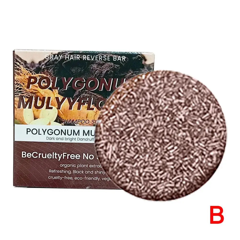 Jabón Natural para el cabello, barra de champú y acondicionador, Polygonum Multiflorum, H1q3