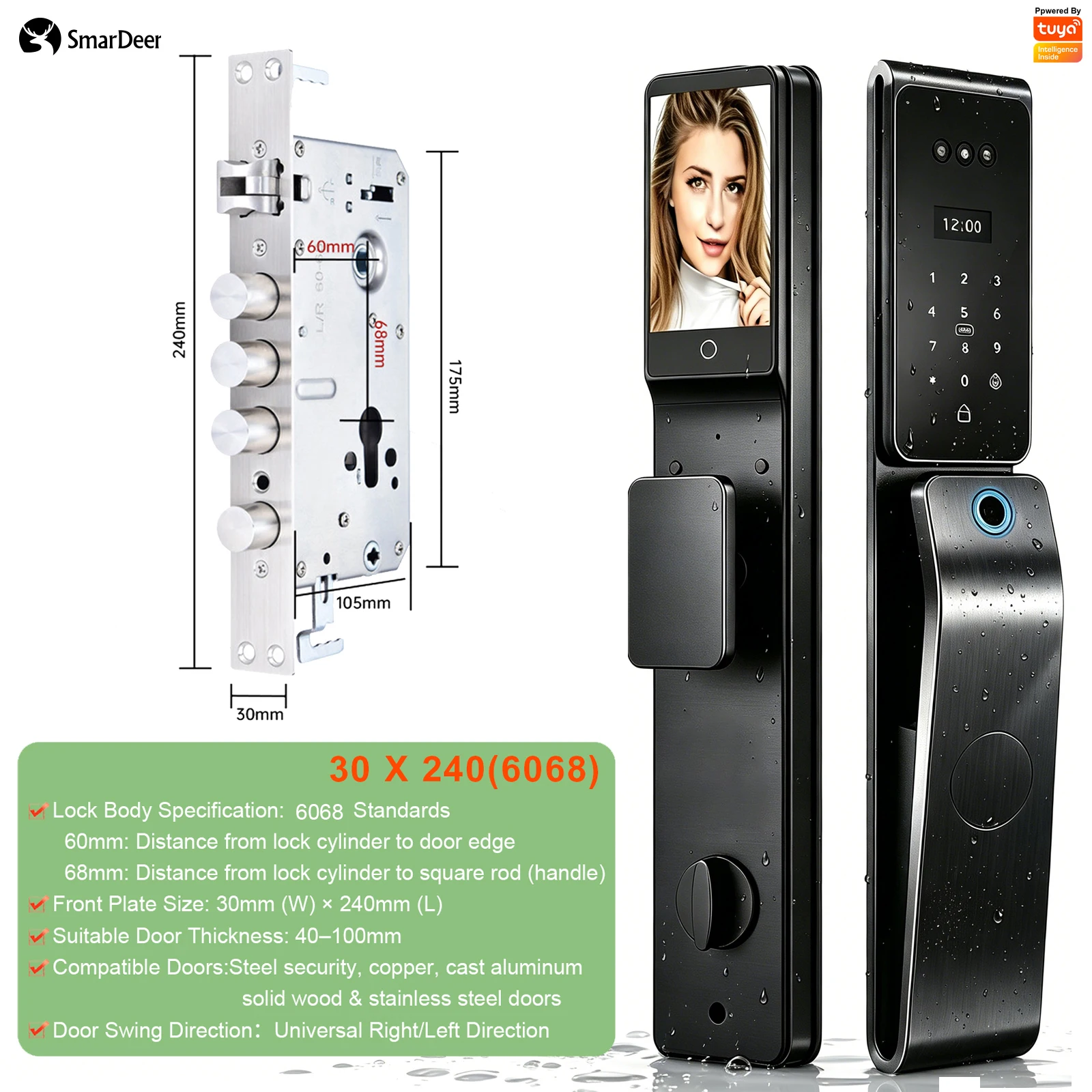 SmarDeer IP66 Outdoor waterdicht slim slot, 3D gezichts- en palmaderherkenningsslot, Tuya WiFi sleutelloos toegang beveiligingsslot