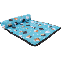 Cute Print Cooling Pad for Cats Mat Dog Cushion Pet Dogs Summer Essentials Blanket Ice