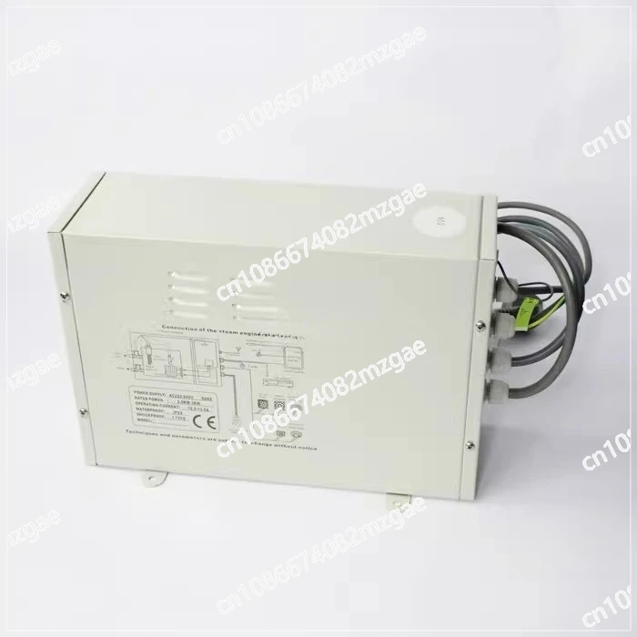TR-019 Steam Generator System Home Shower Room Steam Generator Sauna Bath Steam Equipment With Remote Control 220V 3000W