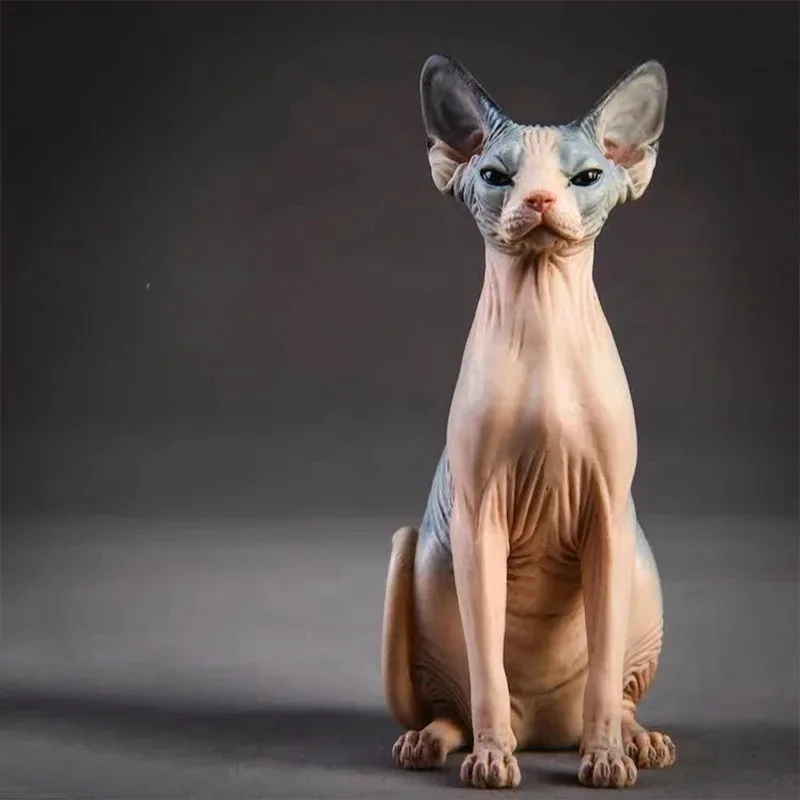 JXK 1/6 مقياس محاكاة الراتنج الكندي بدون شعر القط حيوان صغير الشكل تمثال نموذج هريرة زخرفة الديكور جمع