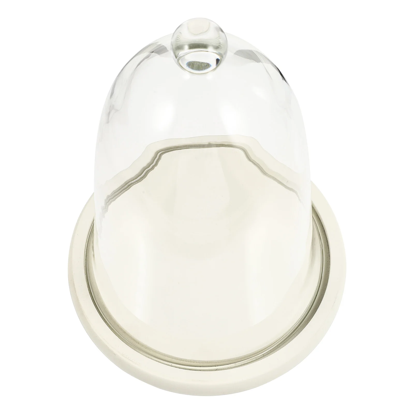 

1Set Creative Preserved Flower Glass Cover Elegant Home Decor Display Collectibles Micro Landscape DIY Adornment