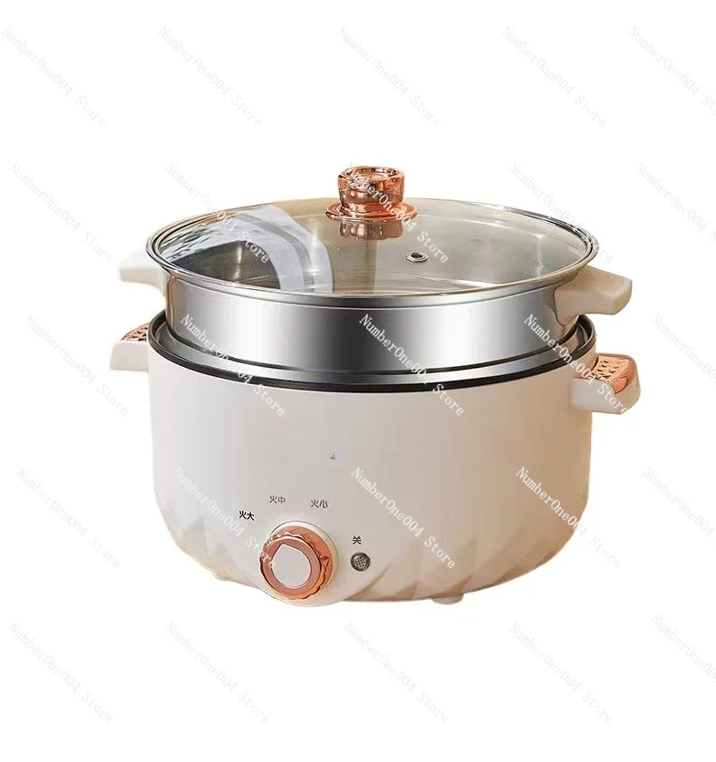 

110V Multi-function Electric Pot for US Japan China Taiwan Portable Hot Pot Cooker