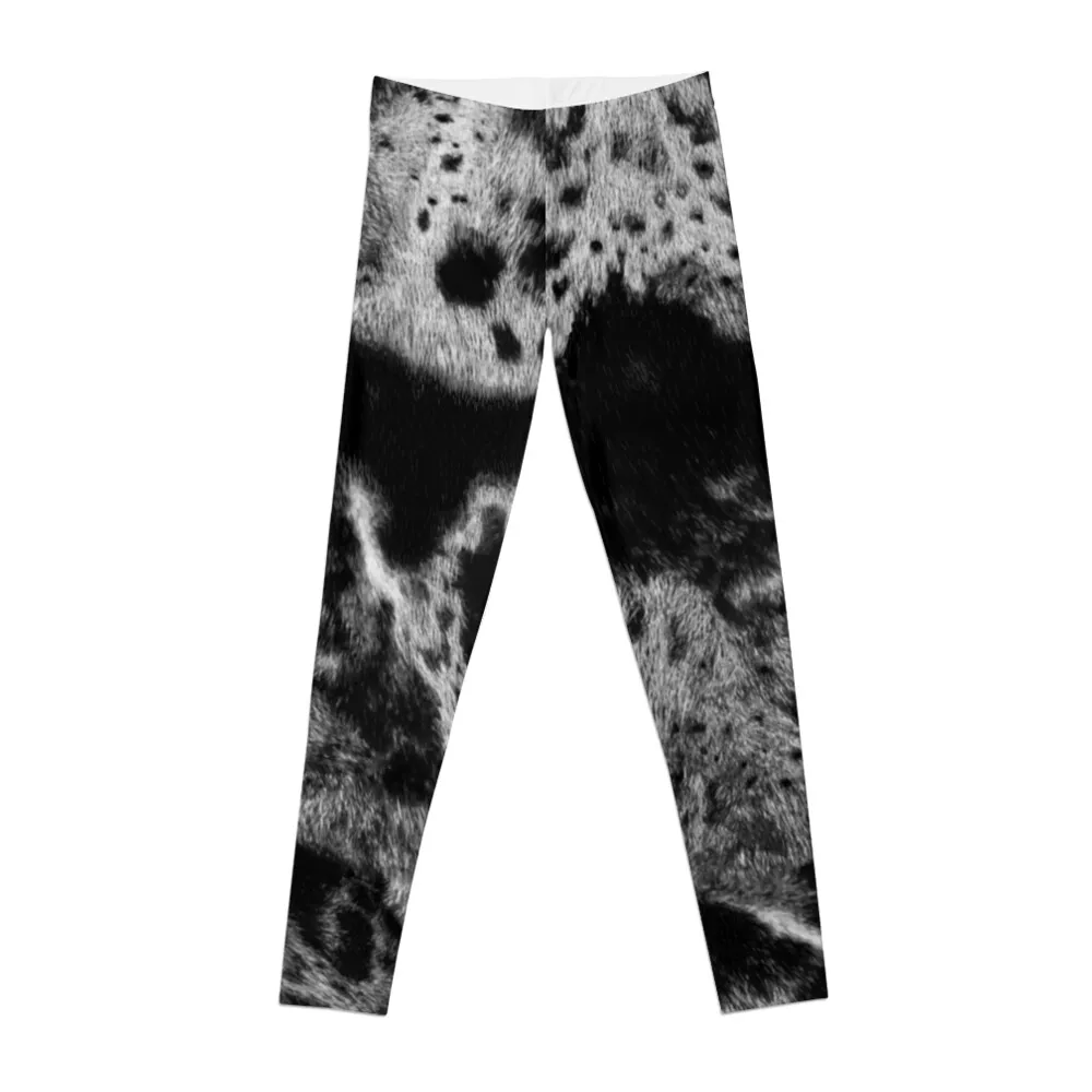 

Catahoula leopard dog fur blue merle Leggings Legging sport Women