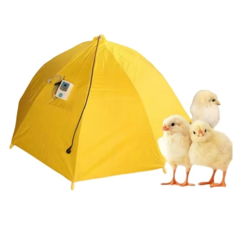 New conditions for high-quality electric poultry brooders with temperature control