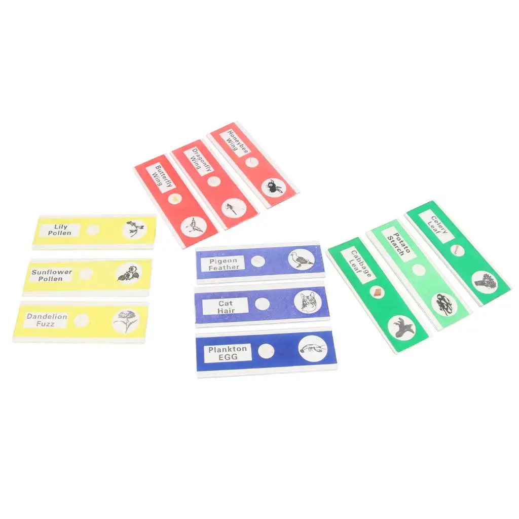 3-4pack 12x Prepared Microscope Slides Biological Specimen Sections Educational