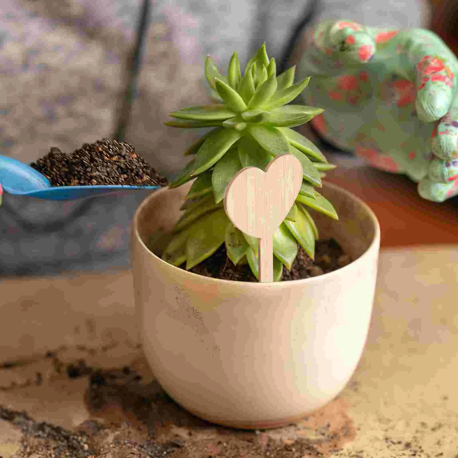 20 stuks bamboe plantenlabels hartvorm houten tuinmarkeringen voor potplanten gemakkelijk handschrift lichtgewicht voor tuin