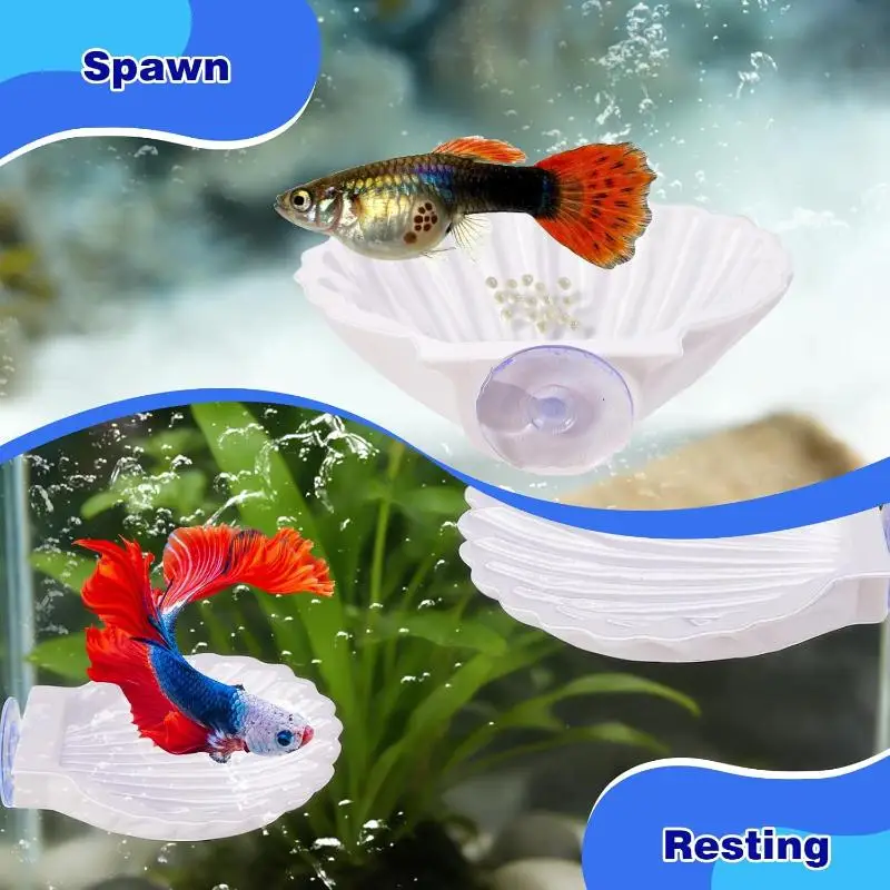 Shell Shaped Betta Fish Rest Spawning Platform With Strong Suction Cup Perfect for Aquarium Hobby