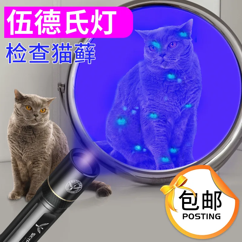 Lampe de poche UV Ultra Glass BlackLight, torche d'inspection d'argent, durcissement, colloïdal, détecteur de mousse d'animaux de compagnie, chat, SAF, diversification des billets de banque