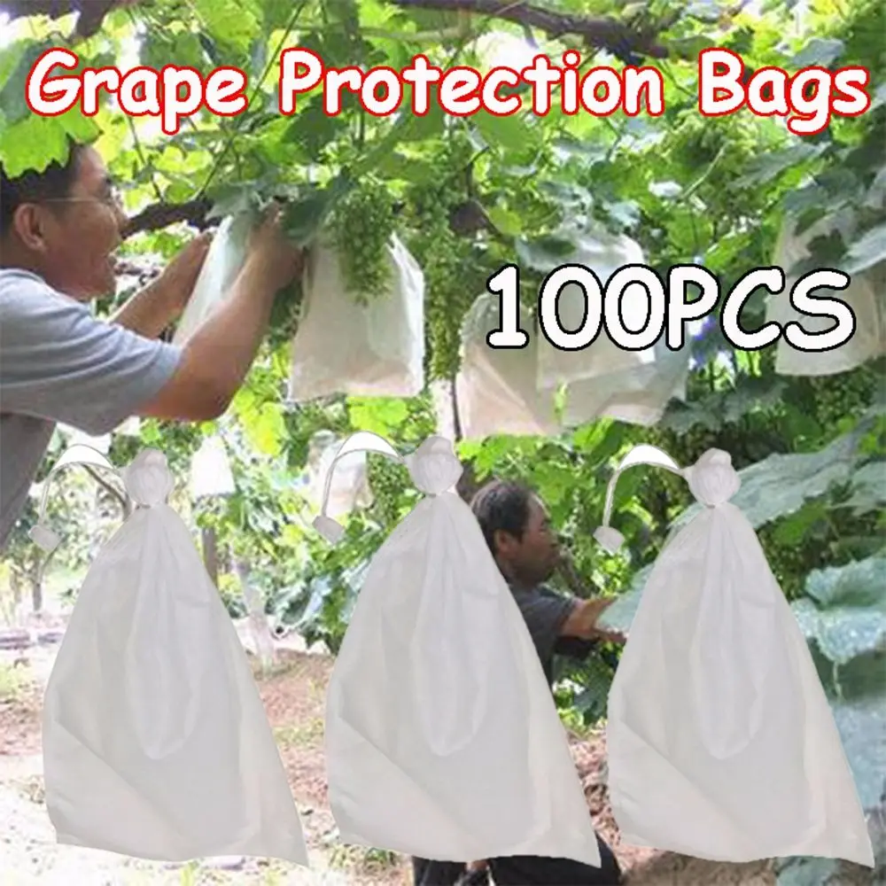 

Agricultural Against Insect Pest Control Waterproof Breeding Bag Garden Supplies Grape Protection Bags Mesh Bag Protect Pouch