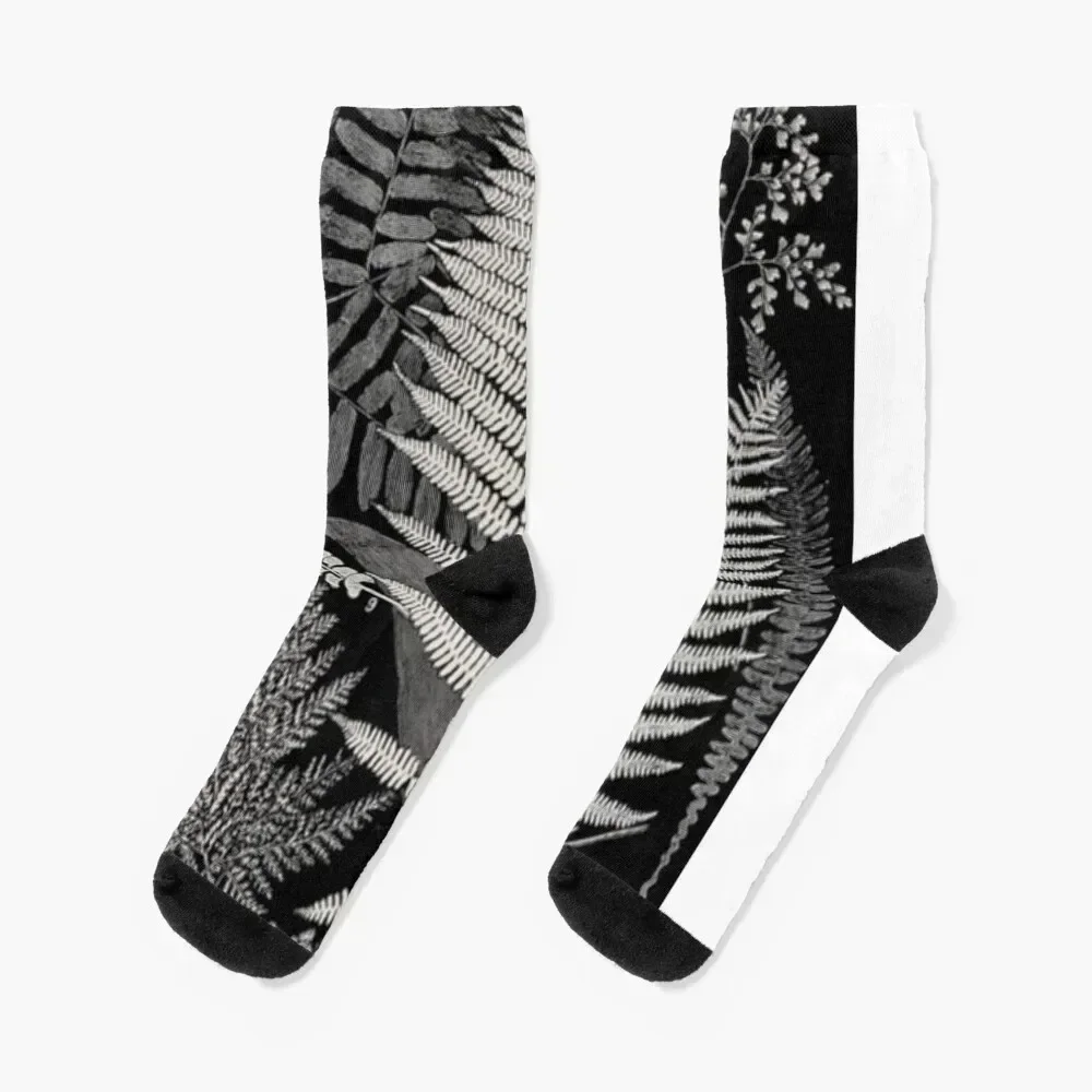 

Botanical Ferns Socks cute kawaii luxe Stockings Ladies Socks Men's snow valentine gift ideas gym Socks Men's Women's