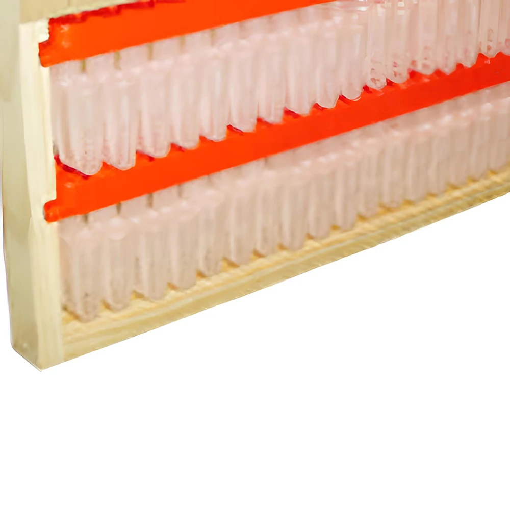 Jzbz Beekeeping Shipping Bar Transport Carrier Queen Isolation Capture Candy Plug Cages Hold Full Size 46 Holes Plastic