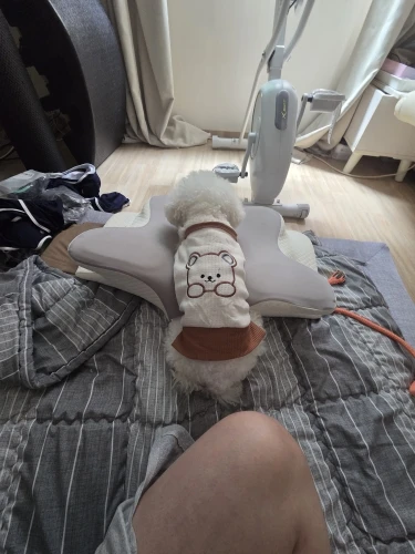 구매후기