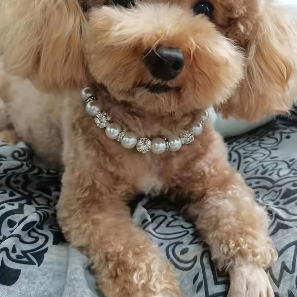 

Sparkle and Shine Adorable Pet Collar Small and Medium Dogs Cute Imitation Pearl Inlaid Diamond Patchwork Necklace Alloy Plastic