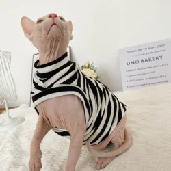 Spring Autumn Winter Sphynx Cat Clothes Thicken Kittens Jumpsuit For Sphinx Cats Striped Hoodies Warm Costume DevonRex Shirt