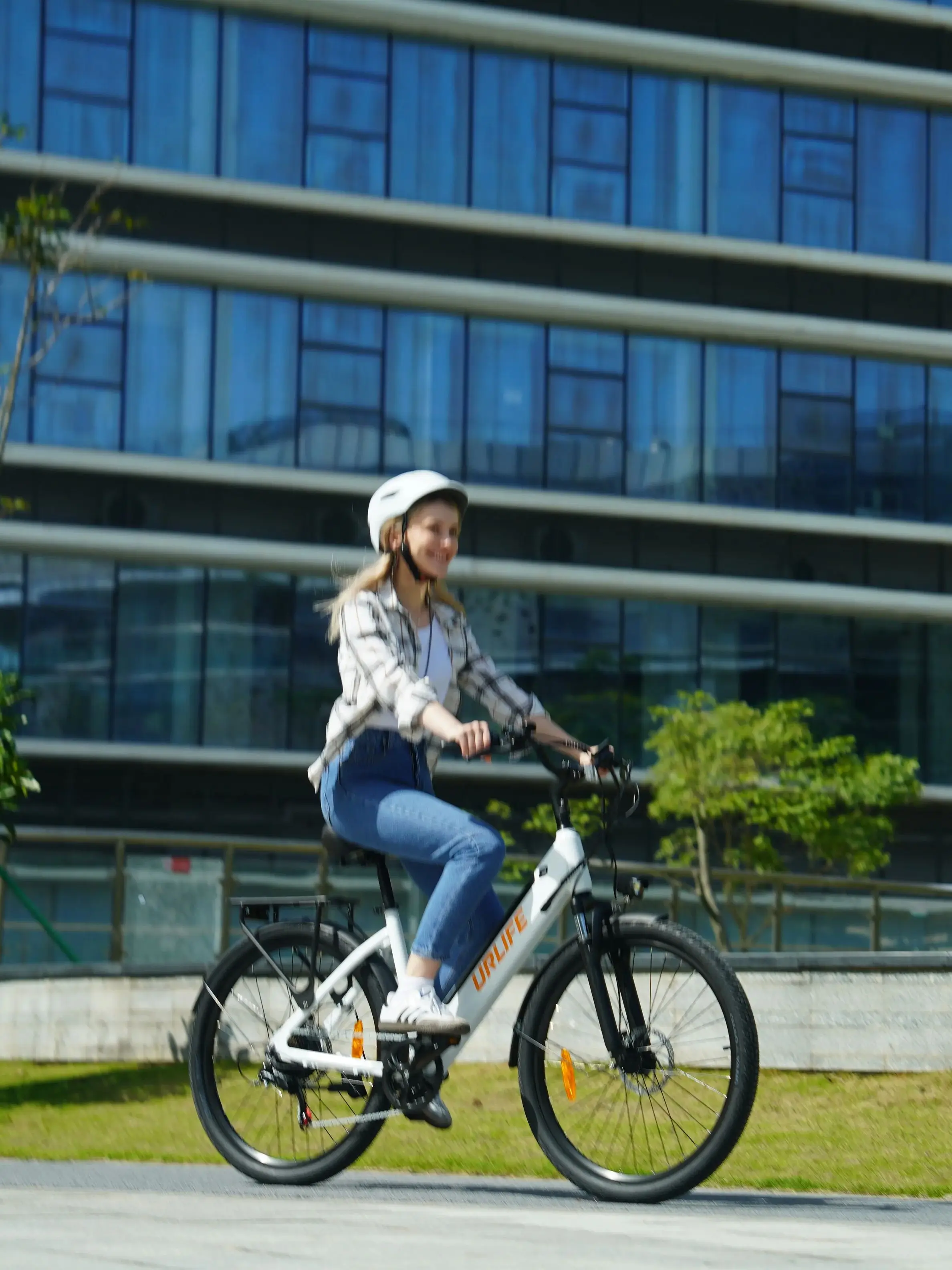 AliExpress URLIFE E26 Electric Bike 250W Motor 36V 13AH Removable Lithium Battery Adult City Electric Bike Big power White Riding bikes