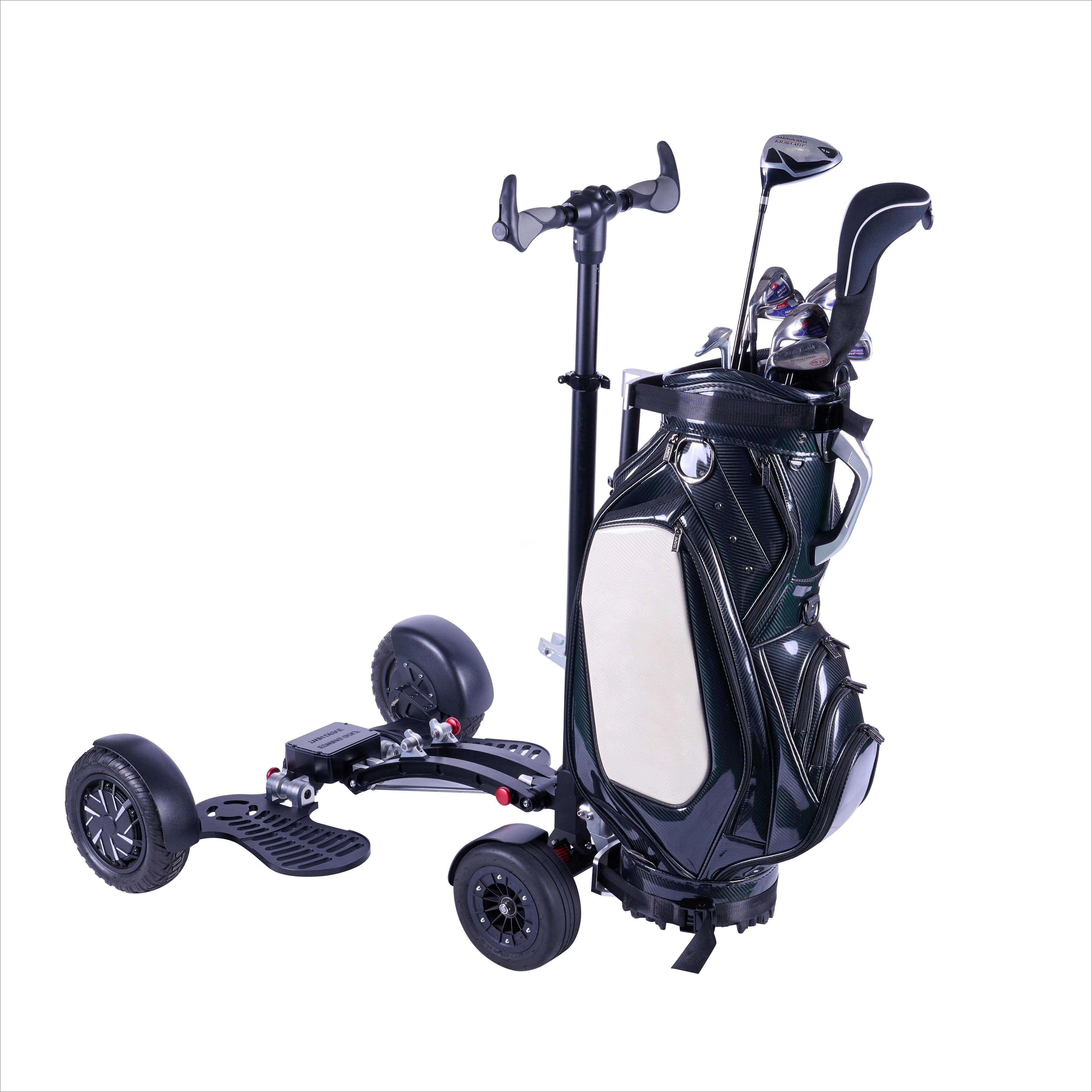 1600W Cheap Price Small Four Wheel 10 Inch Personal Use Electric Foldable Golf Scooter Removable Aluminum Alloy