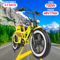 Hidoes C8 Electric Bicycle 700W Motor 48V17AH Lithium Battery Adult Off-road E-bike 20*4 inch Fat Tire All-terrain Electric Bike