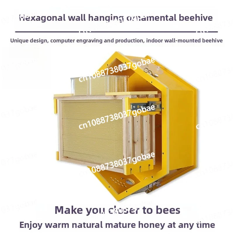

Hexagonal wall mounted beehive breeding ornamental box indoor beekeeping equipment