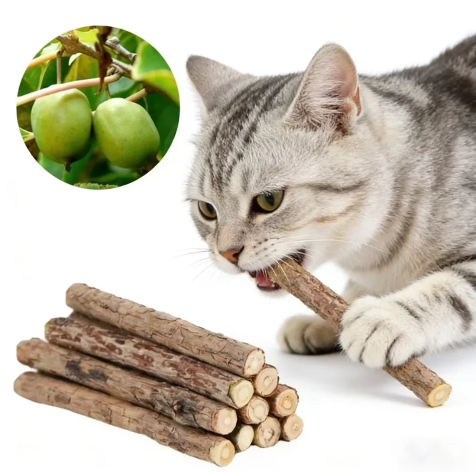 20pcs/30pcs Natural Matatabi Cat Catnip Toy Kitten Molar Chew Stick Pet Cleaning Teeth Cat Treat Toy Actinidia Silvervine