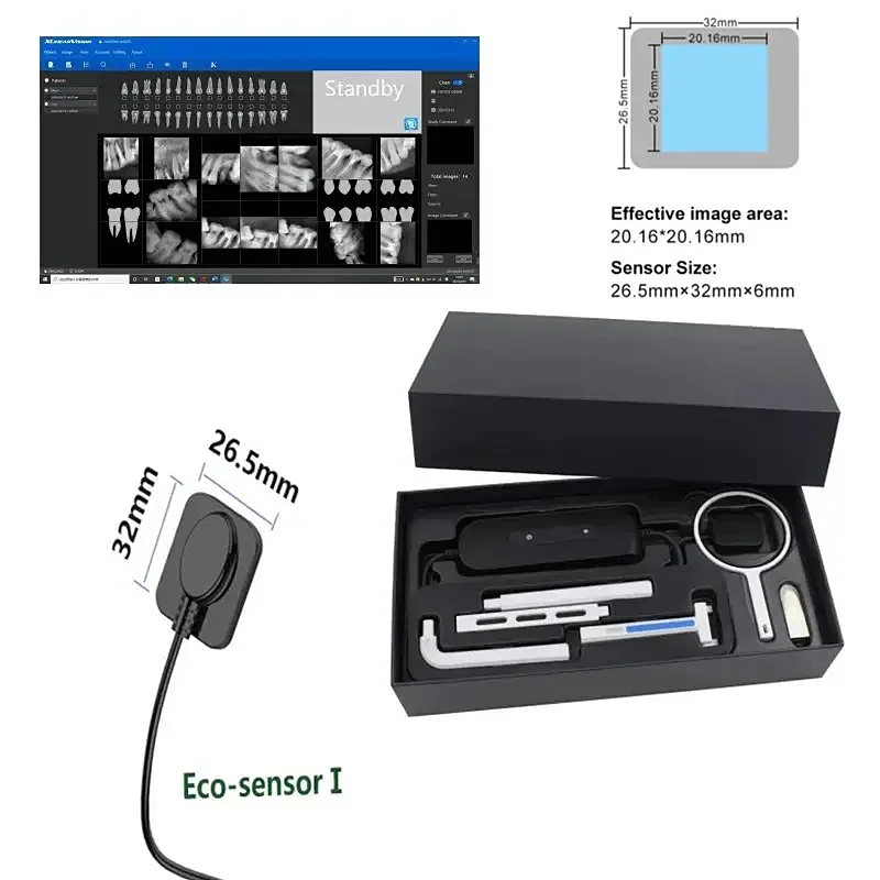Hot Selling Digital X-ray Sensor Dental Radiographic Equipment for Dental Clinic Dental Sensor X Ray Sensor