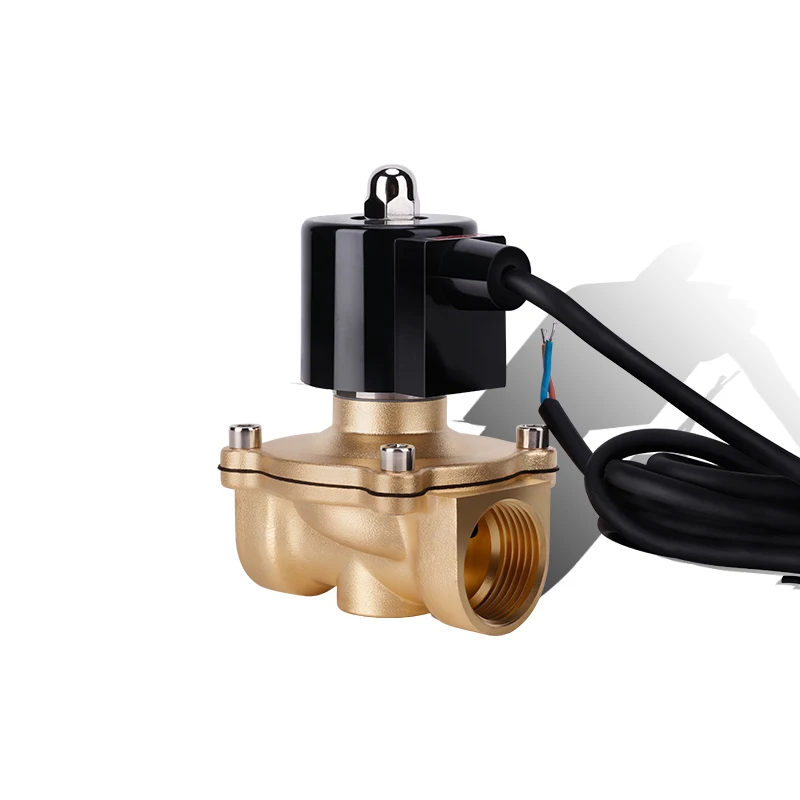 

1" Normally Closed/Open Brass Fountain DN20 Solenoid Valve 110V 24V 12V 24v IP68 Waterproof Solenoid Valve For Underwater