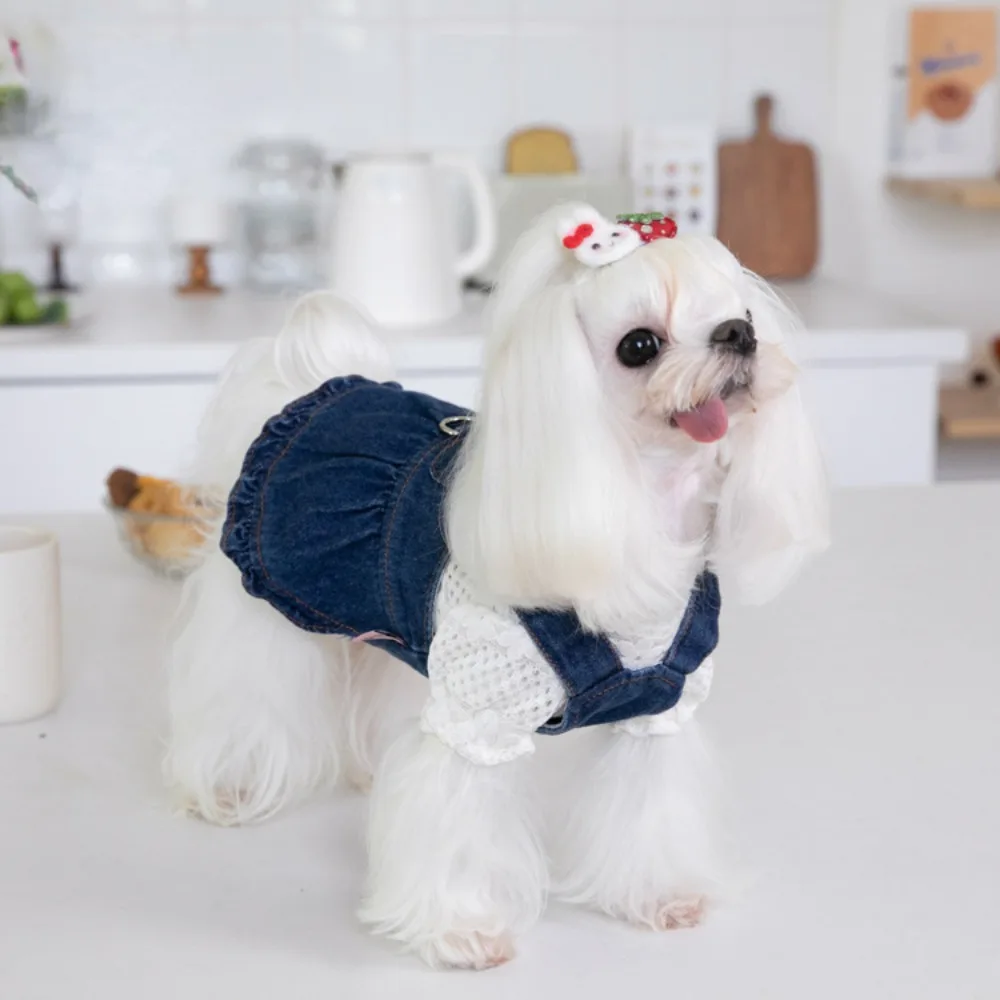 Pet Autumn Winter Cute Traction Denim Skirt Strap Dress Pet Dress Cat Dog Clothing Clothing Teddy Dog Clothes for Small Dogs