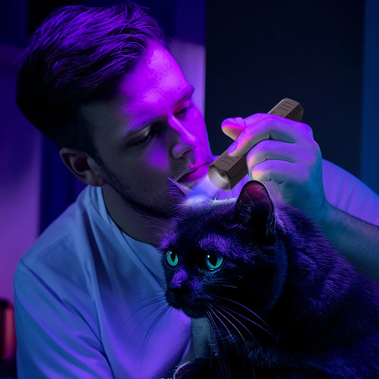 365nm-uv-懐中電灯アルミ合金ブラックライト懐中電灯防水-ipx45-usb-充電式蛍光検査サソリ用