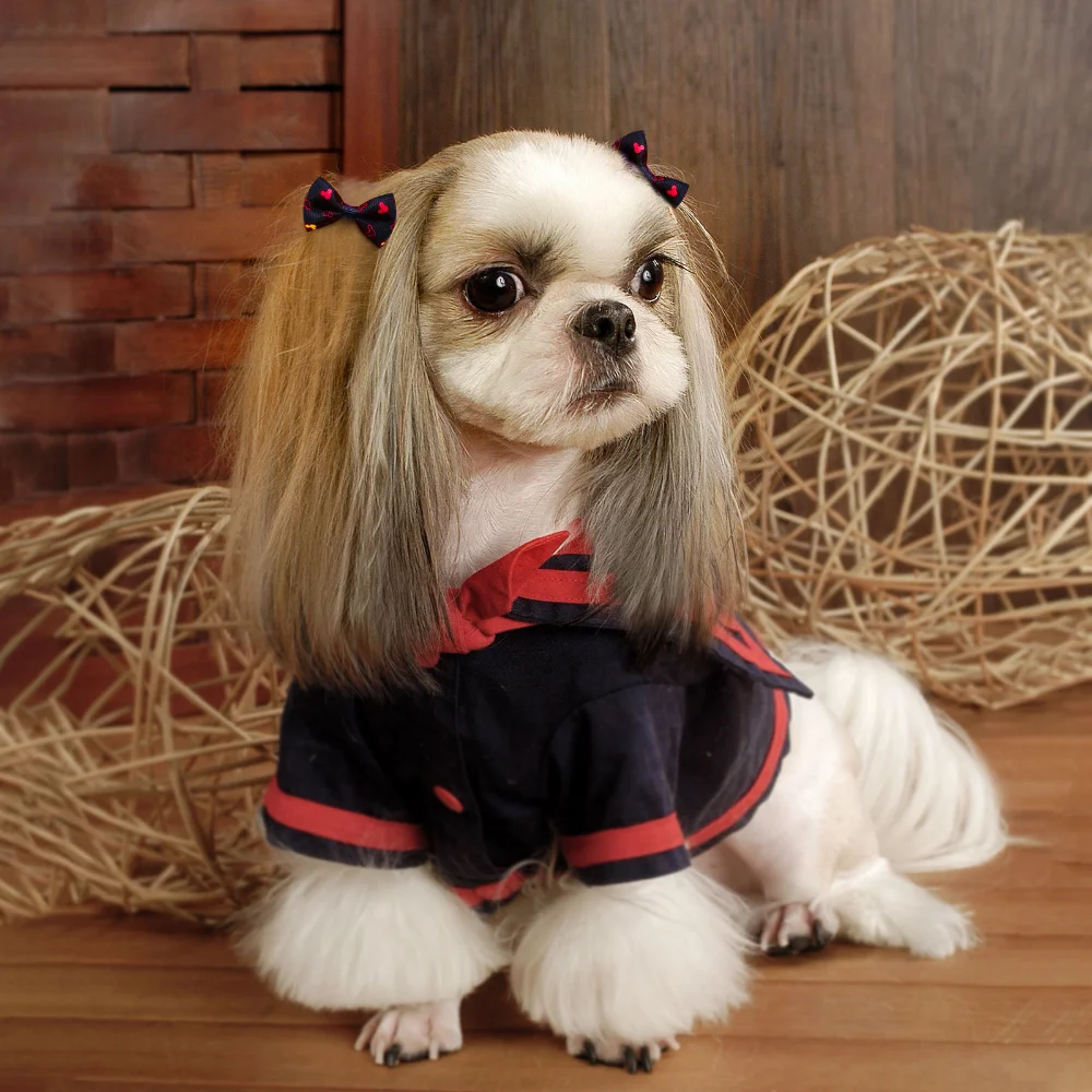 10/20/30pcs Black Small Dog Hair Bows Cat Bows With Rubber Bands Grooming Dog Headwear For Small Dog Puppy Dog Accessories