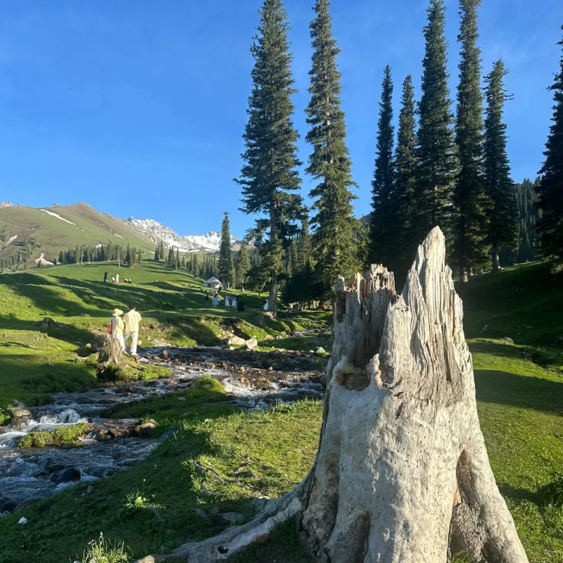 

GEPRC MATEN 5.8G 1.6W VTX - 1600Mw 72CH IRC Tramp 2 - 8S 30.5×30.5mm MMCX FPV RC Video Transmitter