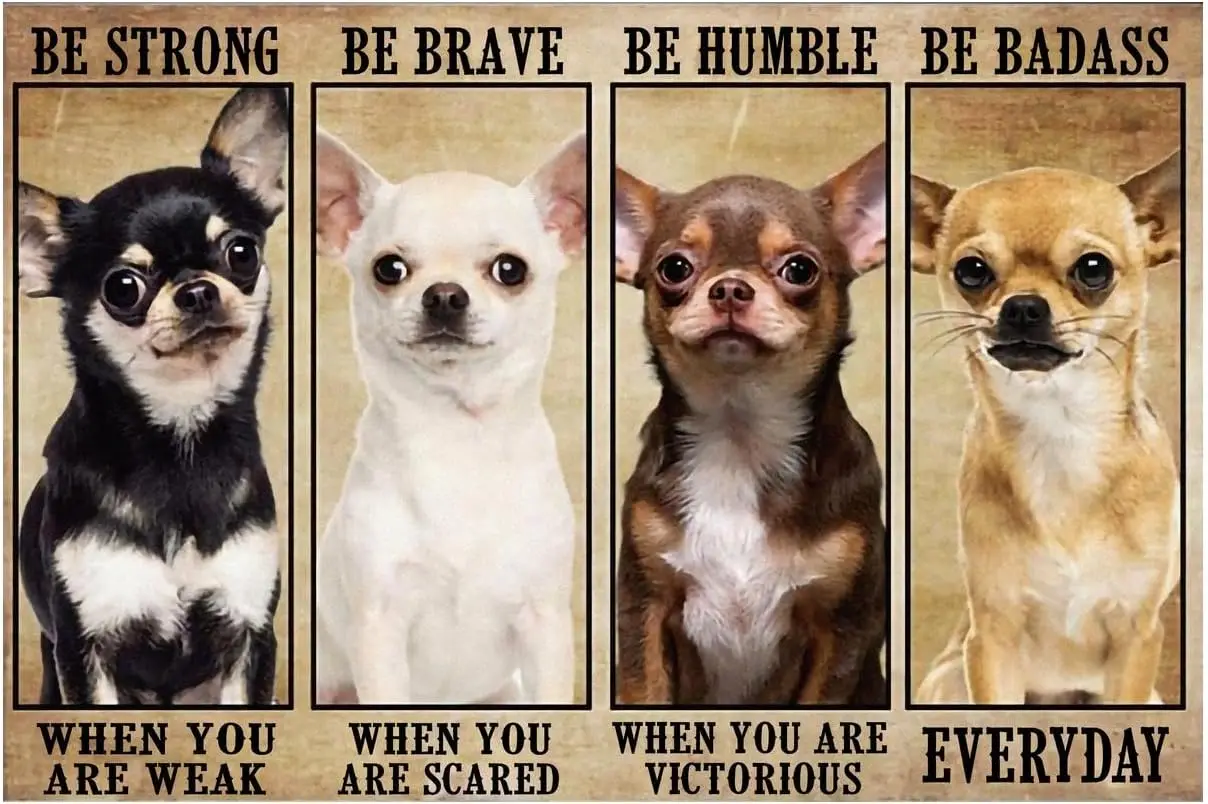 Жестяной знак в виде собаки, украшение для стен, ежедневное смешное украшение для дома, бара, ванной, фермы, комнаты, сада