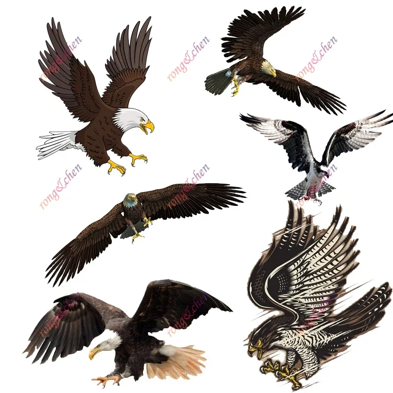

Funny Car Sticker Eagles with Open Wings for Car Motorcycle Racing Helmet Laptop Trunk Body Car Window Surfboard PVC Vinyl Decal