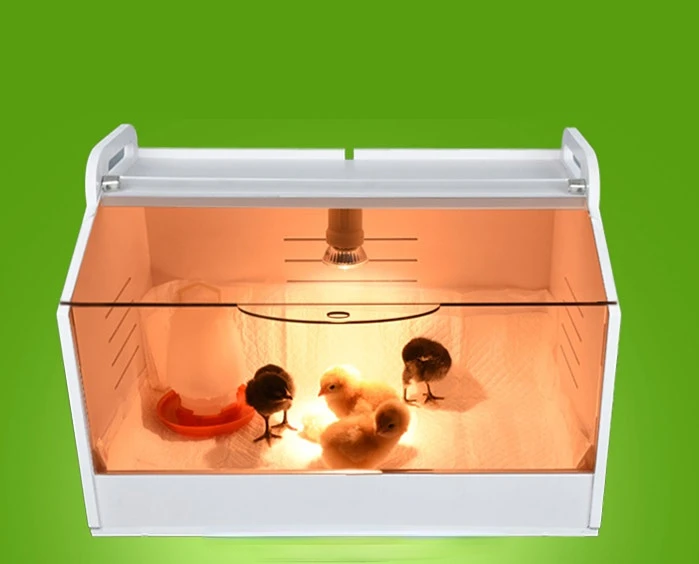 Poultry Equipment Chicken brooder for sale