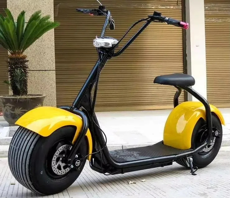 Best selling 1000w citycoco 2000w two wheel electric scooter for adults