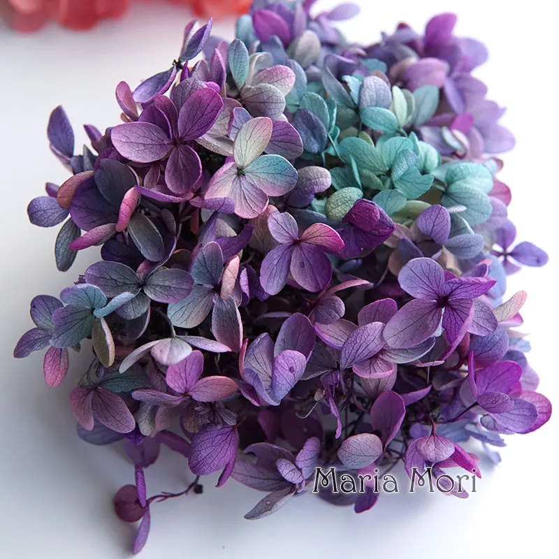 Grandient Color Ellipse Petals Preserved Hydrangea Paniculata Office Decor Crystal Glue DIY Flowers Scented Candles Material