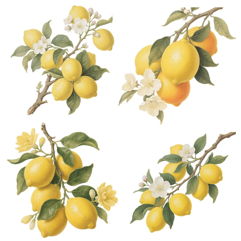 Three Ratels CEE185 Harvest lemon branches wall stickers for home decoration Fruit shop window decals