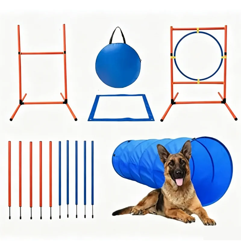 Pet Supplies Dog Trainer Dog Agility Training Kit Dog Obstacle Course Introductory Game Kit Jump Bar