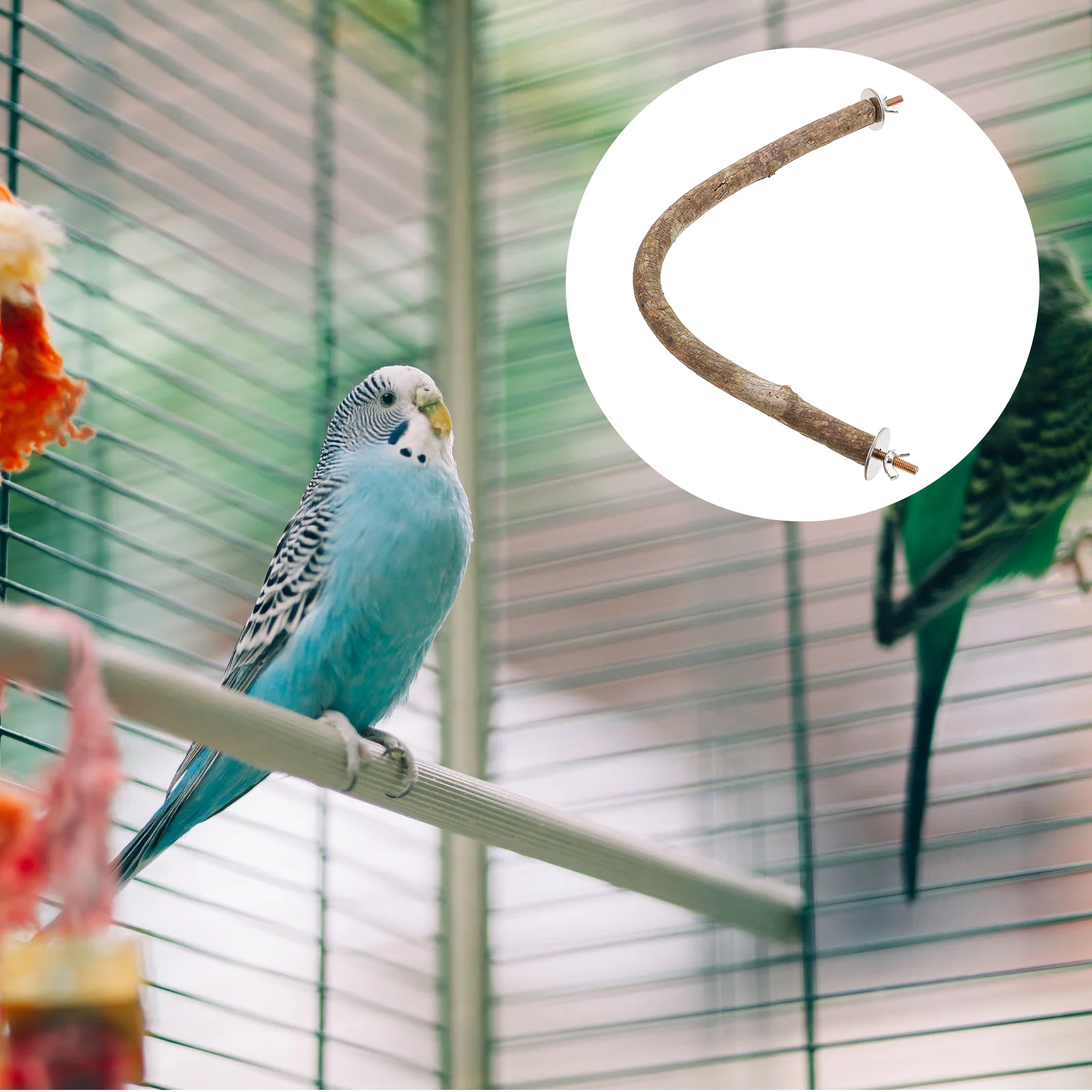 

1Pcs Wooden Bird Perch Natural Wood Standing Rod Parrots Cage Accessories Bird Chewing Rod Training Perch for Birds