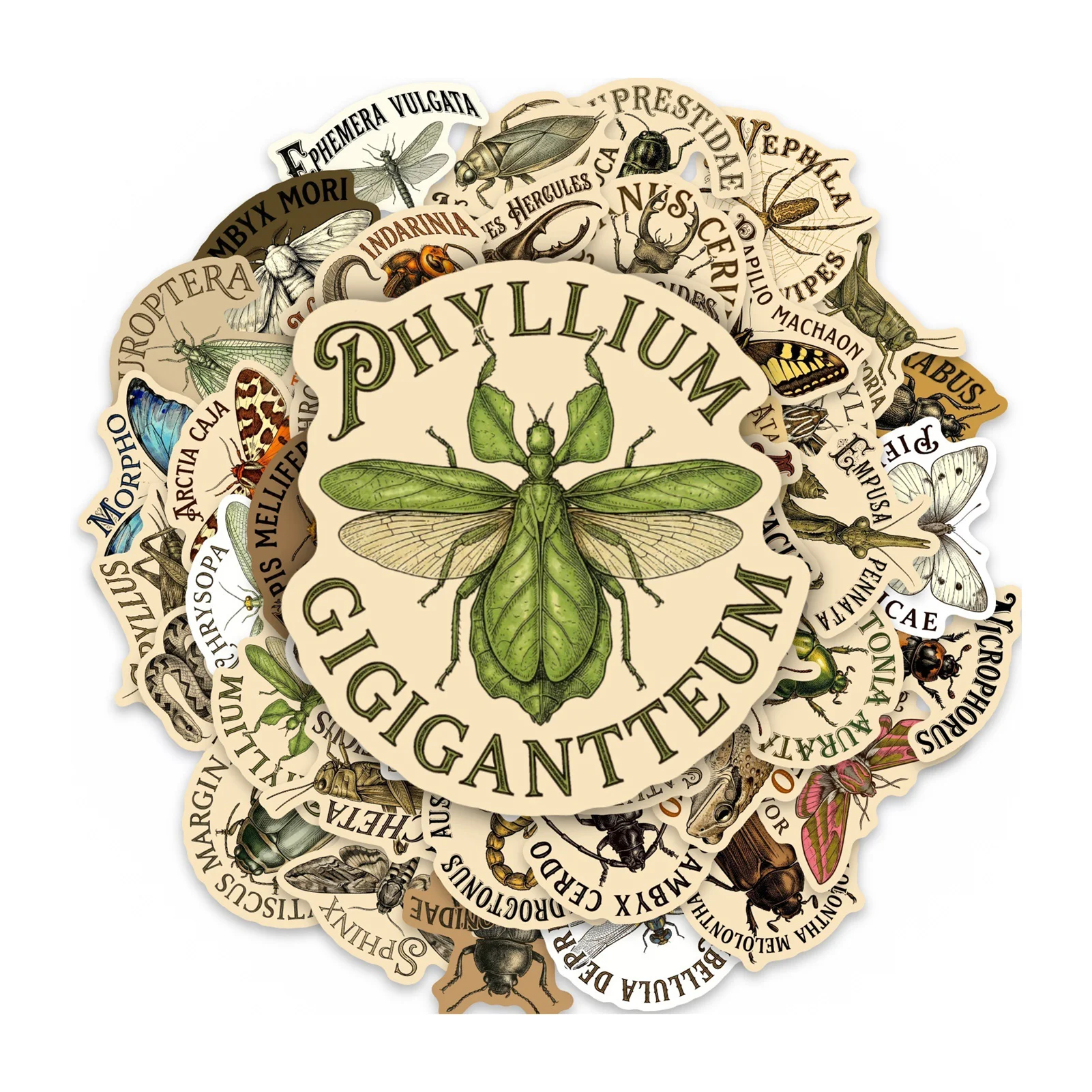 

50Pcs Waterproof PVC Sticker Set Vintage Hand Drawn Insect Specimen for Luggage Skateboard Decoration