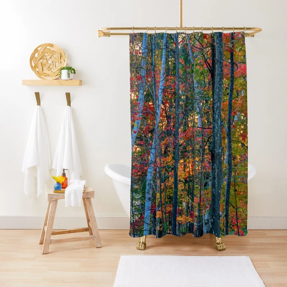 

Birch and Maple Trees with Sunset Glow Shower Curtain Funny Shower Shower Waterproof Luxury Bathroom Curtain
