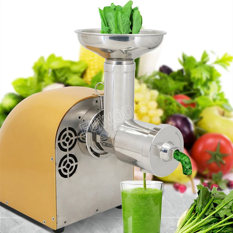 

Masticating Auger Juicer 300W Fruit and Vegetable Low Speed Juice Extractor Slow Compact Cold Press Juicer Machine