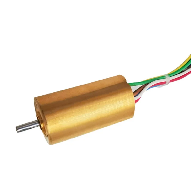 

Batch Beauty Instrument Vibration Massager Power Tools Stirrer Haircut Brushless DC Motor 12V