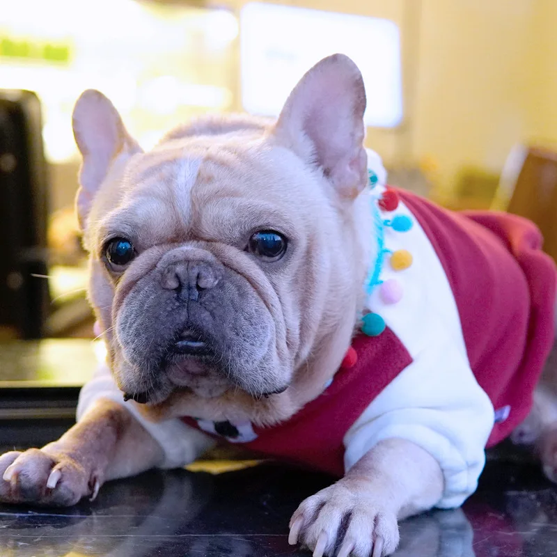 

French Bulldog Pug Dog Clothing Autumn Edition Small Dog Pet Autumn And Winter Style Fleece Warm Clothes