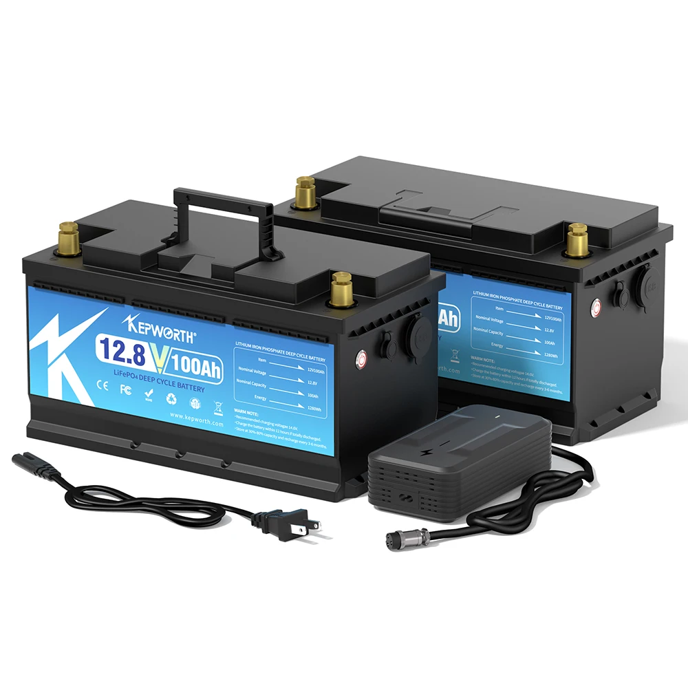 US 2PCS 12V 100Ah LiFePO4 Battery BMS Lithium Power Batteries 6000 Cycles For RV Campers Golf Cart Off-Road Off-Grid Solar Wind