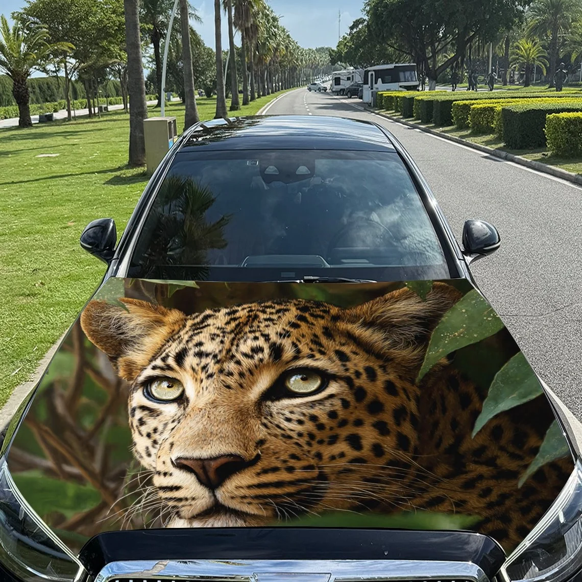 

Vivid leopard print car hood wrap, featuring a lifelike leopard face design. Perfect for car enthusiasts seeking a bold and uniq