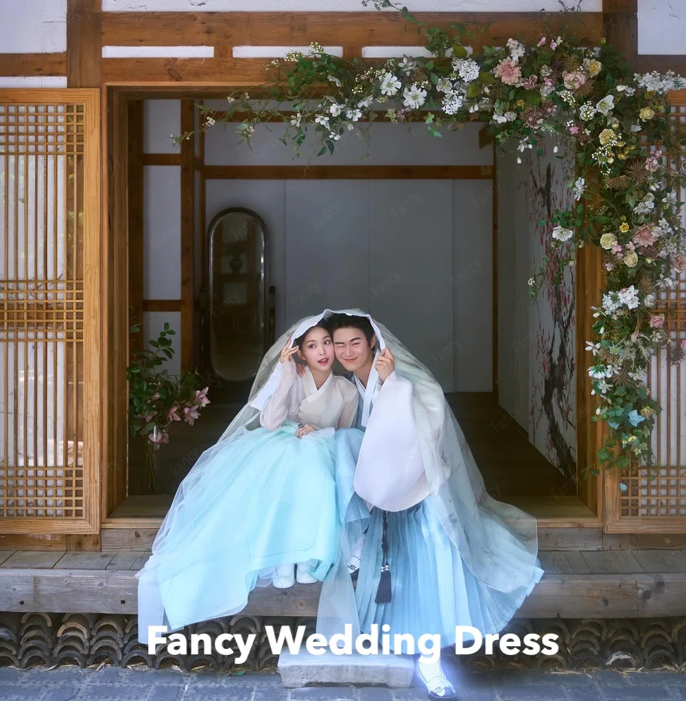 Fancy Simple V Neck Light Blue Wedding Dress Korea Photo Shoot A Line Organza Bridal Gown Long Sleeve Floor Length Formal Dress