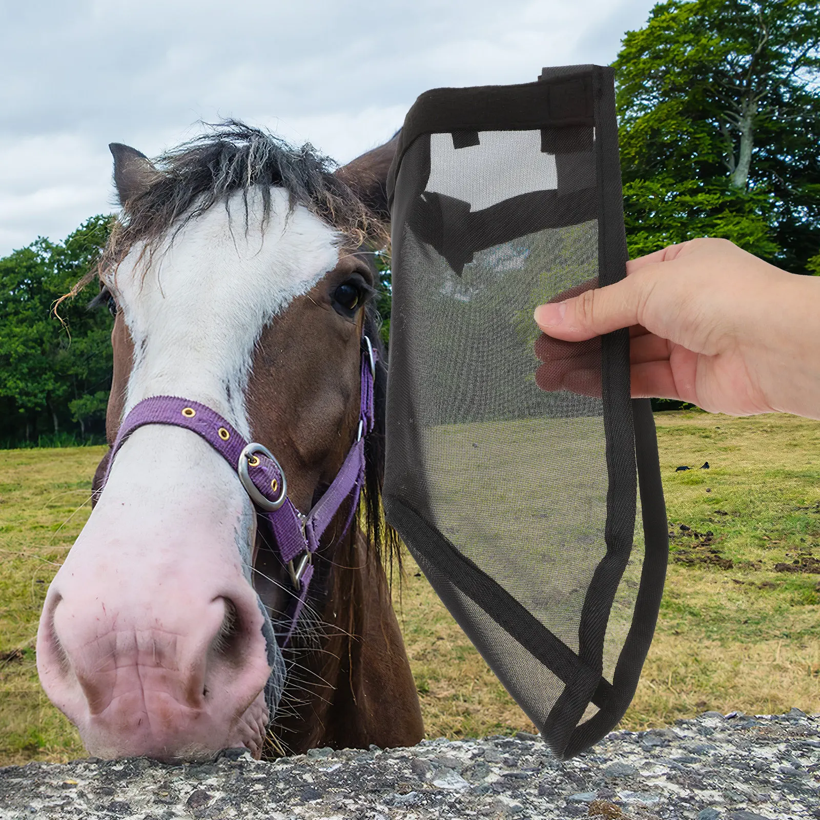 

1 шт. Дышащая сетчатая маска-накладка на нос для лошади, легкая защита от насекомых, комфортная посадка, для ухода за лошадьми на открытом воздухе при верховой езде