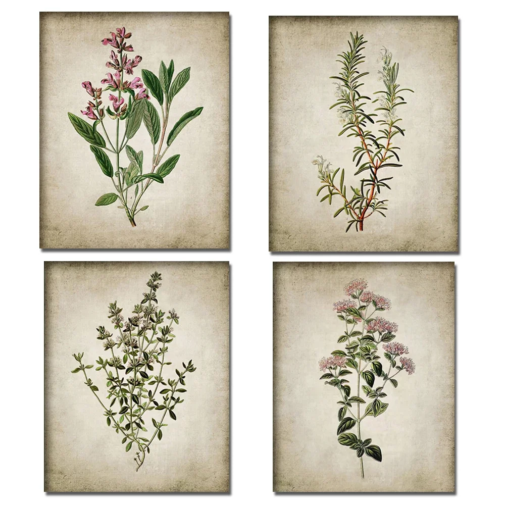 Classic Retro Botanical Canvas Painting Vintage Ancient Botany Flower Posters and Prints Wall Art Picture Home Living Room Decor